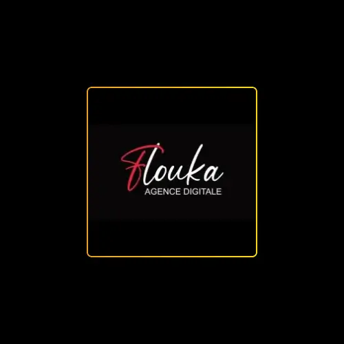 Serious_Consulting_partenaire_flouka