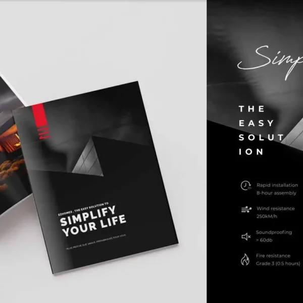 serious_consulting_ezhomesworldbranding1